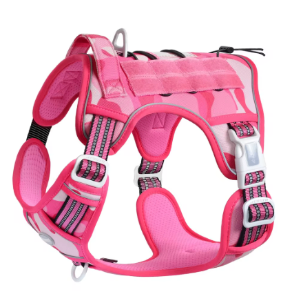 https://static.hzpdex.com/product/20250408/5b1d5c9a-0e7b-47d6-b42a-9d77fc9abdc4.png