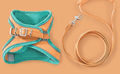 https://static.hzpdex.com/product/20260630/75b2ad15-20a4-4008-8154-b82ccfc4a106.png