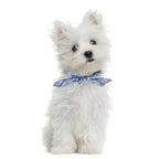 Pet Bandanas Plaid Dots Style Cotton Washable Dog Bandanas Scarf Bowties Collar Pet Square Bib For Puppies Kittens