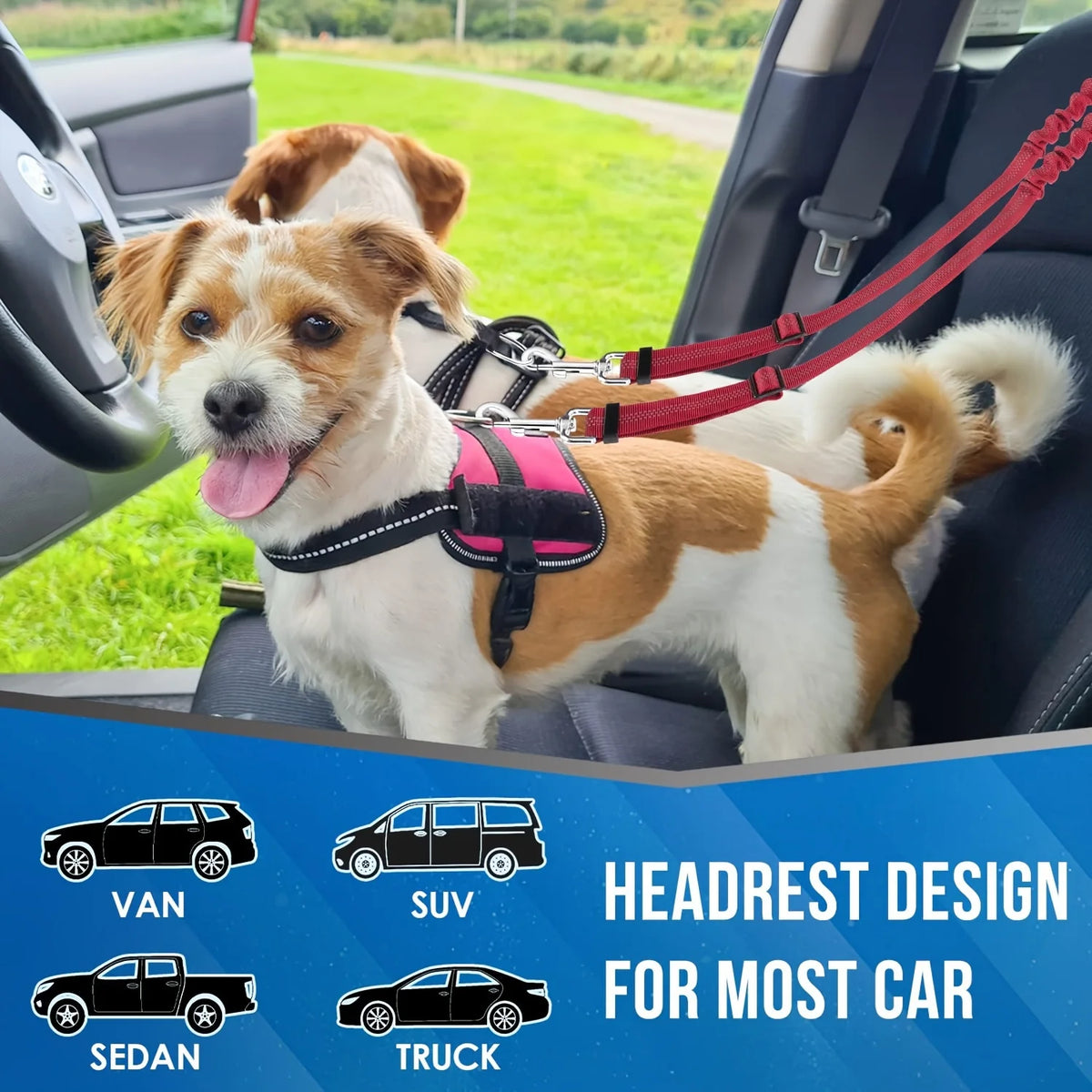 1Pcs Pet Dog Seat Belt Car Supplies Dog Cat Car Fixed Dog Chain Buffer Traction Car Safety Rope One Belt Two Dog Leash