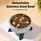 Stainless Steel Pet Bowl – Anti-Tip Elevated Design with Non-Slip Silicone Base & Chew-Proof Edge for Small Cats/Dogs Feeding
