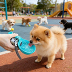 Pet Stainless Steel Foldable Spherical Water Bottle Portable Dog Bowl Suitable for Outdoor Use