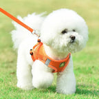 Reflective Pet Harness And Leash Set For Dog & Cat, No Pull Dog Vest Harness With Breathable Mesh